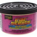 California Scents Can Santabarbberry
